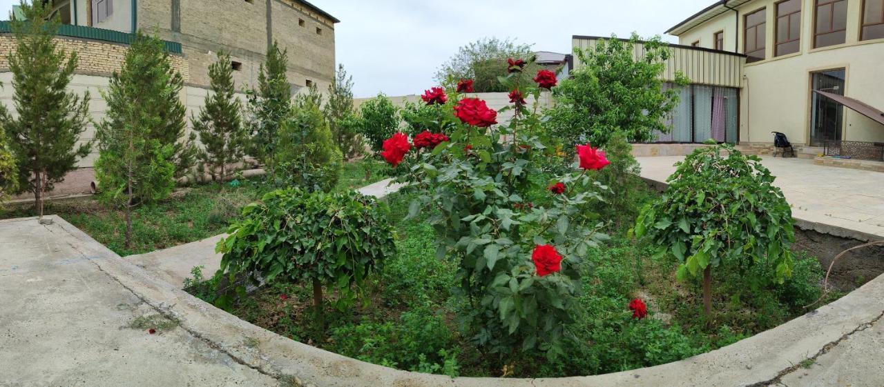 Hud Hud Albergue Bukhara Exterior foto